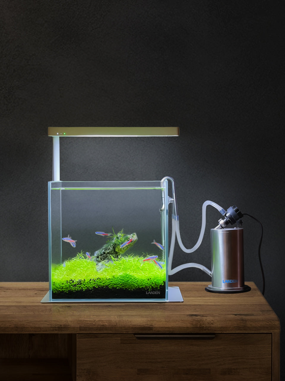 LANDEN PURA 50 Mini External Canister Filter for Aquarium System, up to 5 Gallon, Stainless Steel Aquarium Canister with Water Pump
