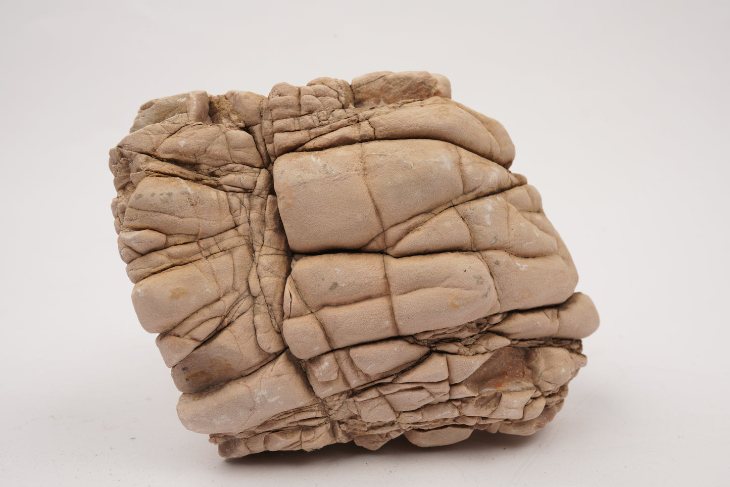 LANDEN Elephant Skin Stone Natural Rocks (18lbs,3-9 inches)7pcs