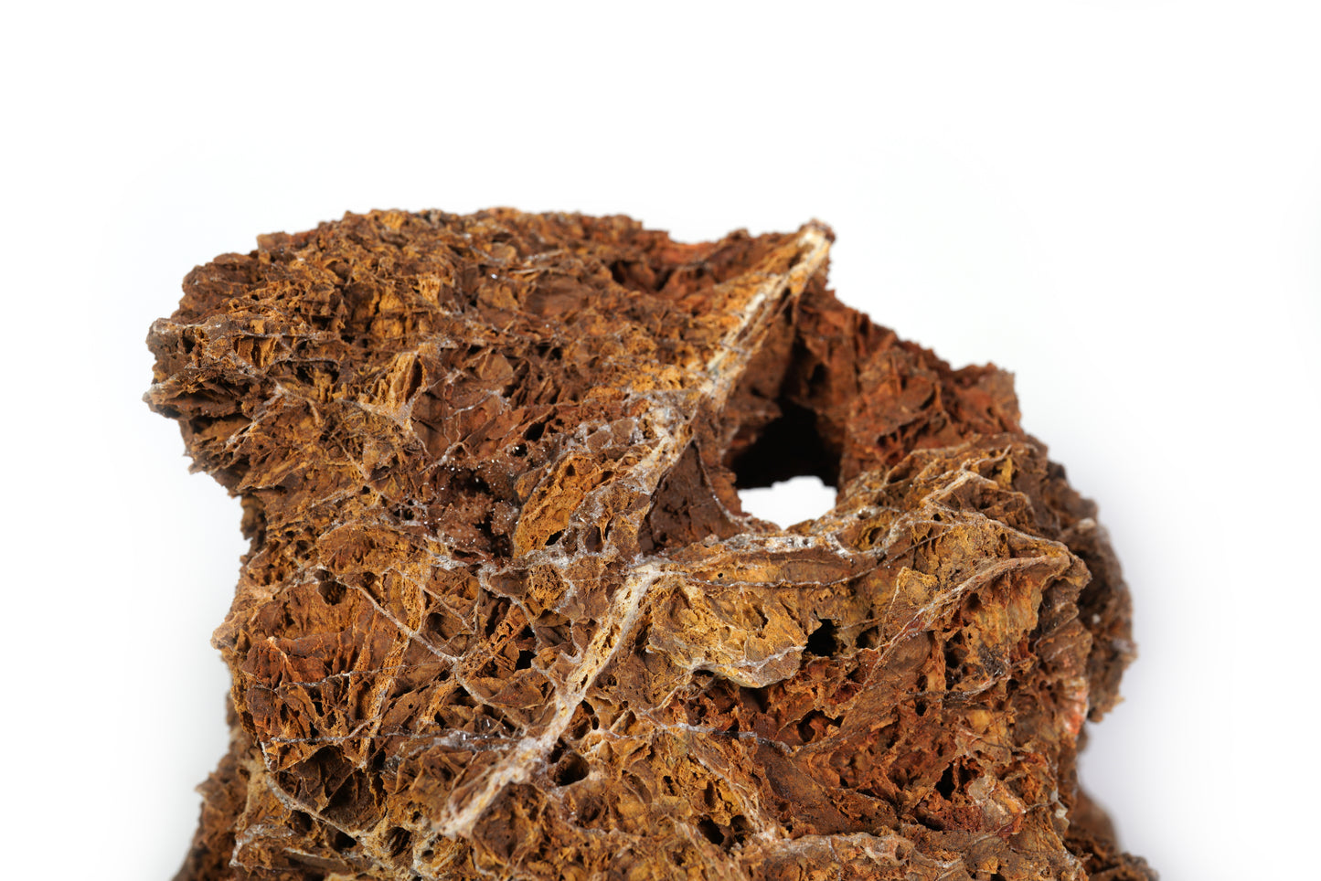 LANDEN Maple Leaves Stone Natural Rocks for Aquarium (18lbs,3-9 in) 9pcs