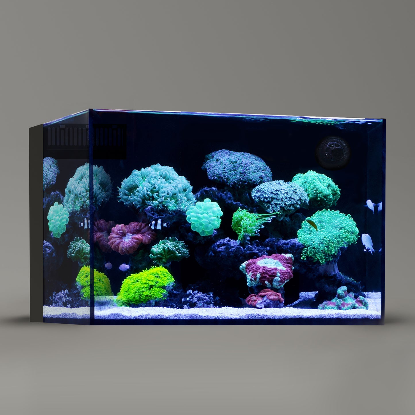 LANDEN Ultra Clear Glass Rimless Low Iron Aquarium Tank with Rear Filtration Chamber for Salt and Fresh Water, Made of All Glass