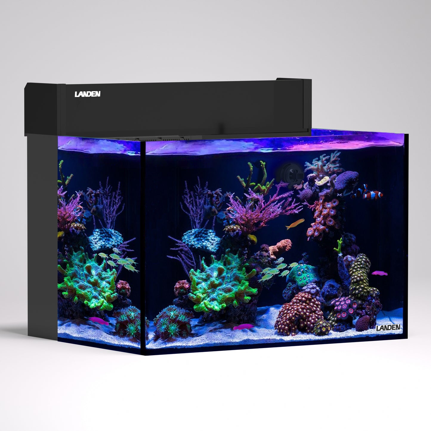 LANDEN EzCube 60P Premium Rimless AIO Marine Aquarium Kit with Rear Filtration, Protein Skimmer, and Roller Filter, 24 Gallon Saltwater Reef Tank, W23.62×D17.7×H15.7 in (60×45×40cm)