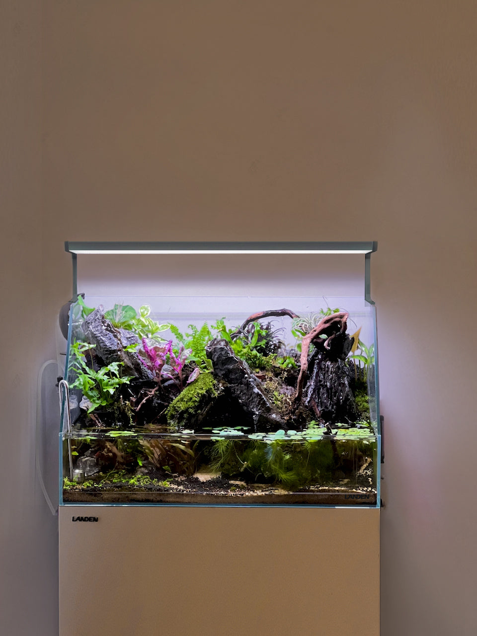 LANDEN Paludarium Tank Low Iron Rimless Tank Aquascape of Semi-Aquatic Habitat W17.7''D(5.9''-11.8'') H(7''-10.6'')