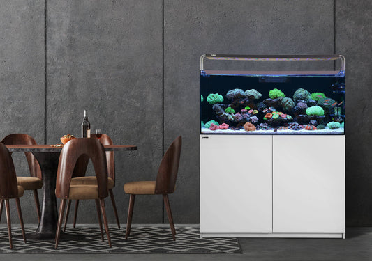 LANDEN Aquarium White Wooden Stand and Cabinet for 72.2 Gal Tank, W47.2xD19.7xH33.9in(120x50x86 cm),Wooden Matte White Painted(Stand Only)