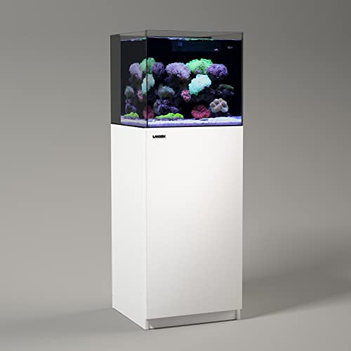 WS303086-B