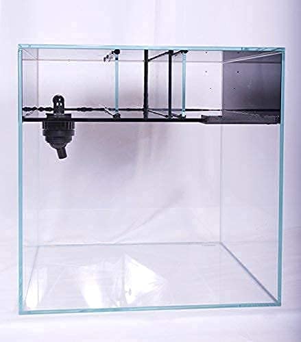 LANDEN Ultra Clear Glass Rimless Low Iron Aquarium Tank with Rear Filtration Chamber for Salt and Fresh Water, Made of All Glass