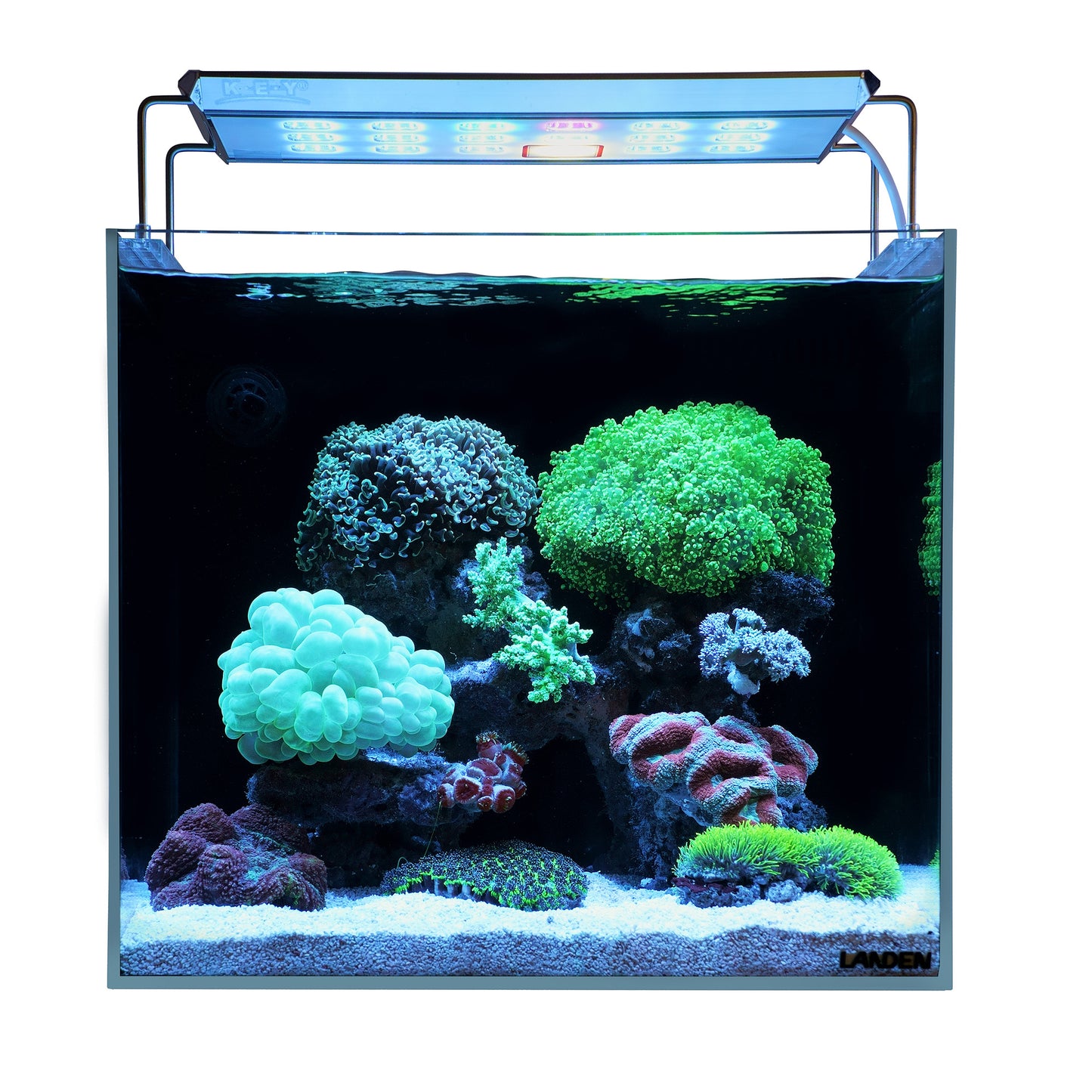 Landen 45P 15 Gallon Ultra Clear All Glass Rimless Low Iron Aquarium Tank with Rear Filtration Chamber(Return Pump Included)for Salt and Fresh Water.17.7''Wx17.7''Dx15.8''H in(45x45x40cm)