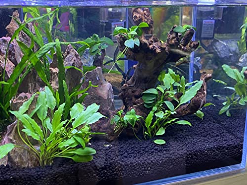 THRIVA Aqua Soil Substrate for Freshwater Aquarium, Black and Brown Color, 5L/ bag