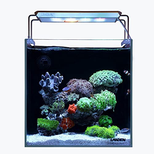 LANDEN Ultra Clear Glass Rimless Low Iron Aquarium Tank with Rear Filtration Chamber for Salt and Fresh Water, Made of All Glass