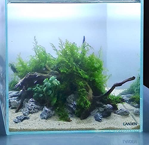 Landen Namale Aquarium Sand, Super Natural for Aquarium Landscaping, Cosmetic Sand for Plant Tank, Fine Grain Natural Color River Sand for Freshwater or Blackwater Biotope Tank