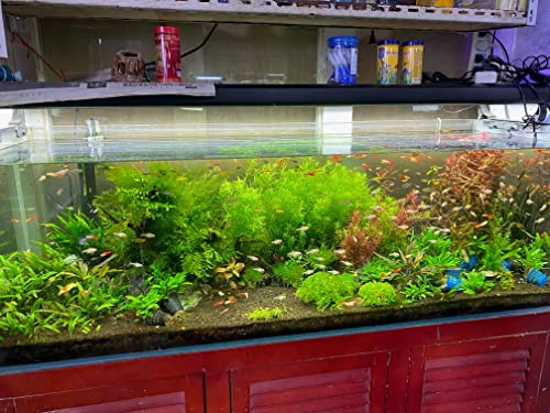 THRIVA Aqua Soil Substrate for Freshwater Aquarium, Black and Brown Color, 5L/ bag
