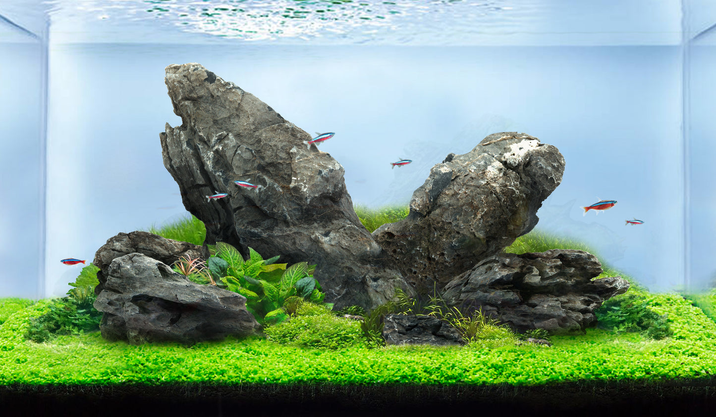 LANDEN Seiryu Stones Natural Rocks for Aquascaping (36lbs, 3-11inches) 14pcs