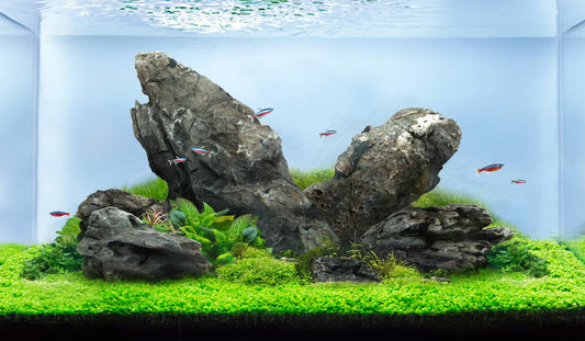 LANDEN Seiryu Stones Natural Rocks  for Aquascaping  (36lbs, 3-11inches) 14pcs