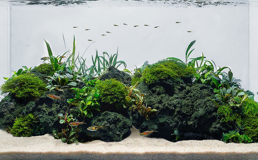LANDEN Black Lava Stones for Aquascaping (16lbs,3-10 inches)11pcs