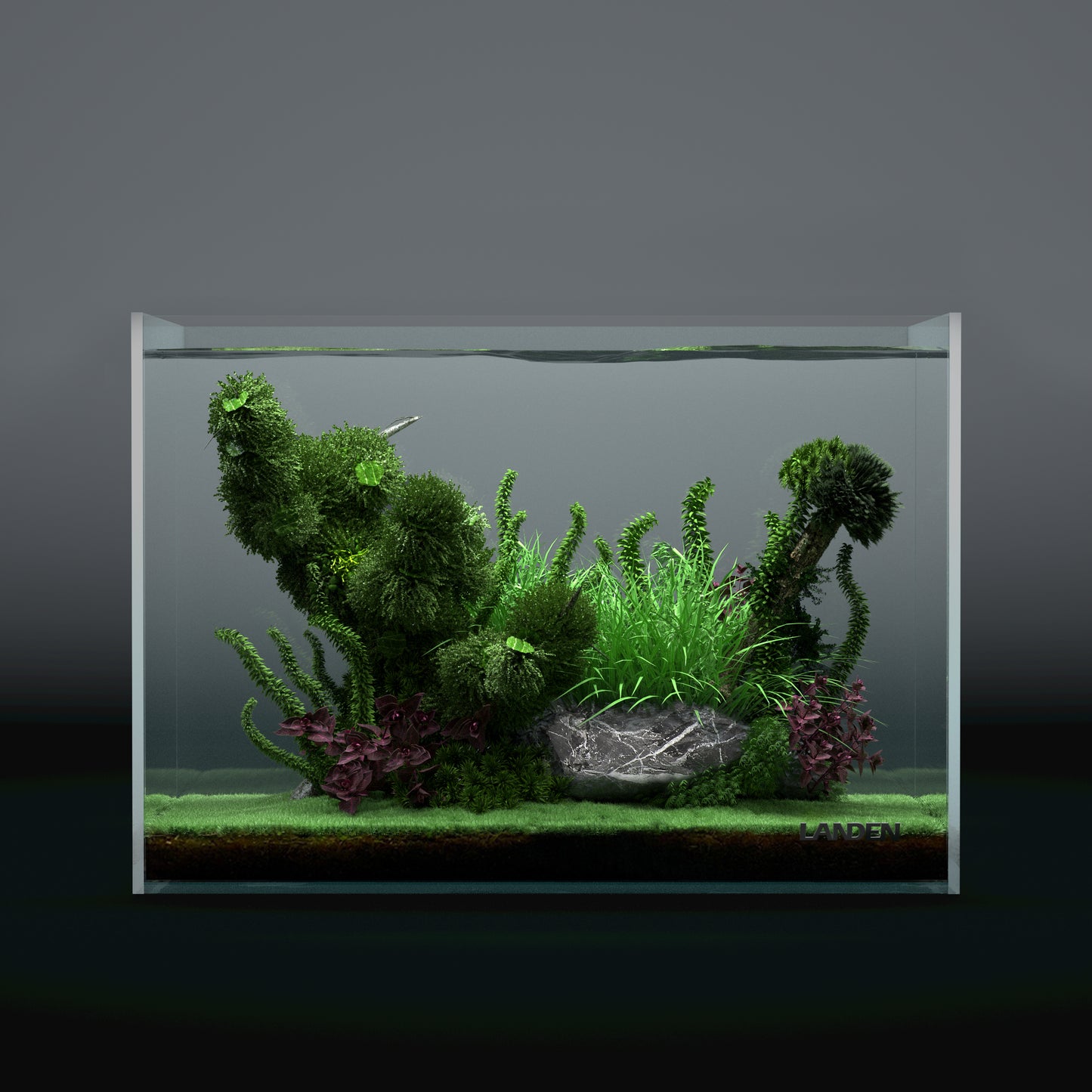 LANDEN 36P 5 Gallon Rimless Low Iron Aquarium Tank, 14.2" W × 8.7" D × 10.2" H (36cm x 22cm x 26cm)