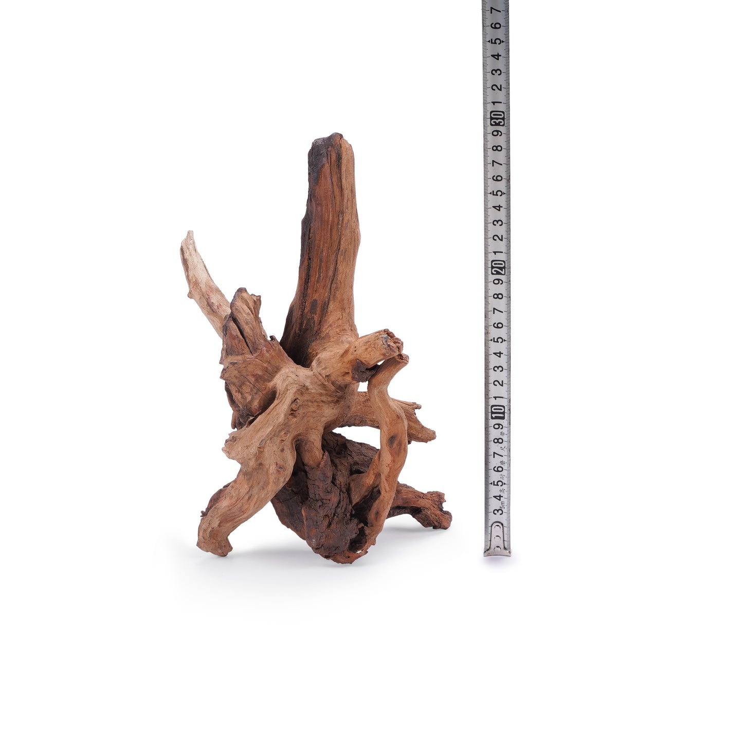 LANDEN Panna Natural Driftwood for Aquarium Decor Freshwater Fish Tank(12-14 inches, 30-35cm) 4pcs Terrariums Vivariums Reptile and Amphibian Enclosures Lizard Bearded Dragon Tortoise Various Shapes