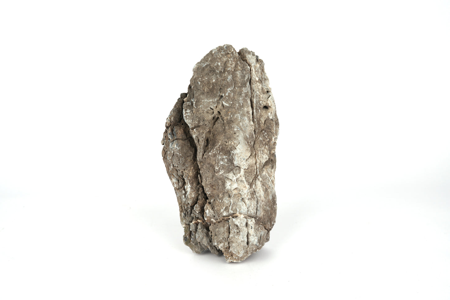 LANDEN Seiryu Stones Natural Rocks for Aquascaping (17lbs, 3-11inches) 7-8pcs