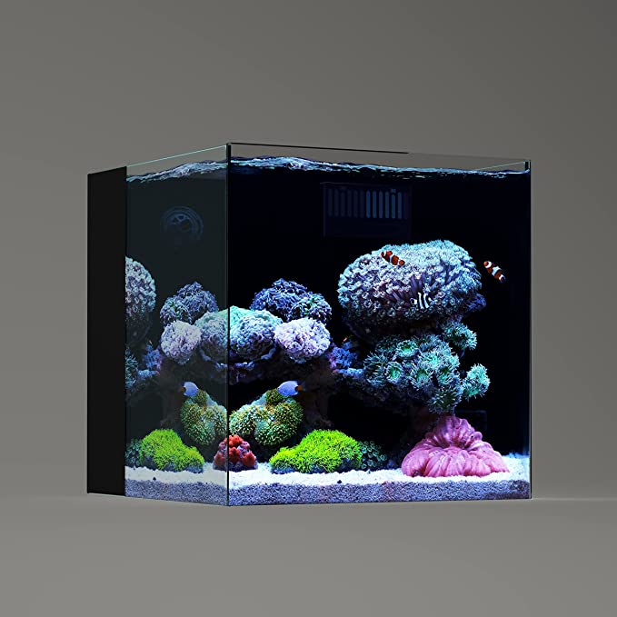 Landen 35C 10 Gallon Ultra Clear All Glass Rimless Low Iron Aquarium Tank with Rear Filtration Chamber(Return Pump Included)for Salt and Fresh Water.13.8''Wx13.8''Dx13.8''H in(35x35x35cm)