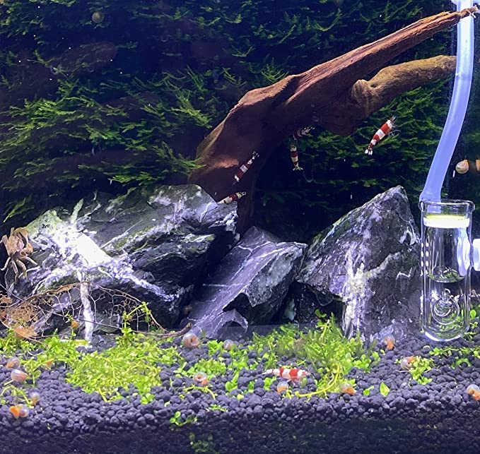 LANDEN Natural Tonwa Slate Stones for Aquascaping (17lbs, 4-8 inches)7-8pcs