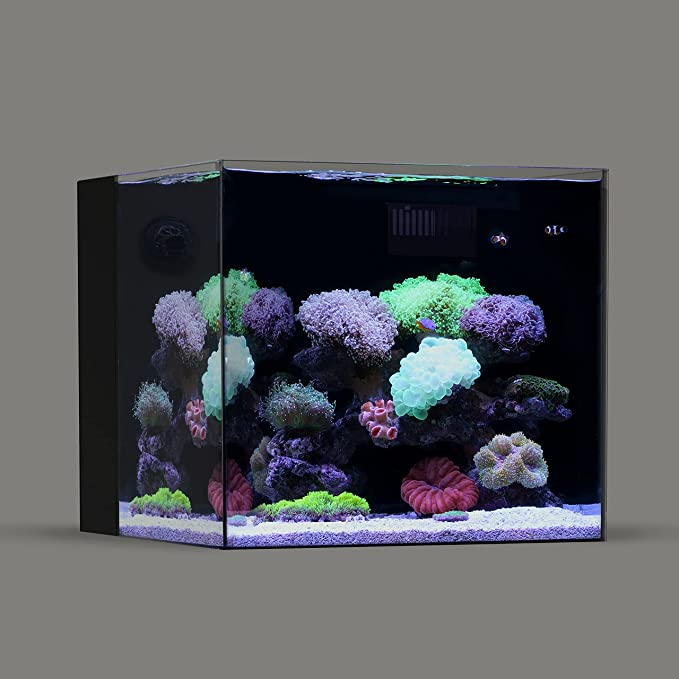 Landen 45P 15 Gallon Ultra Clear All Glass Rimless Low Iron Aquarium Tank with Rear Filtration Chamber(Return Pump Included)for Salt and Fresh Water.17.7''Wx17.7''Dx15.8''H in(45x45x40cm)