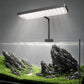 LANDEN HL20T clip-on light on a rimless aquarium