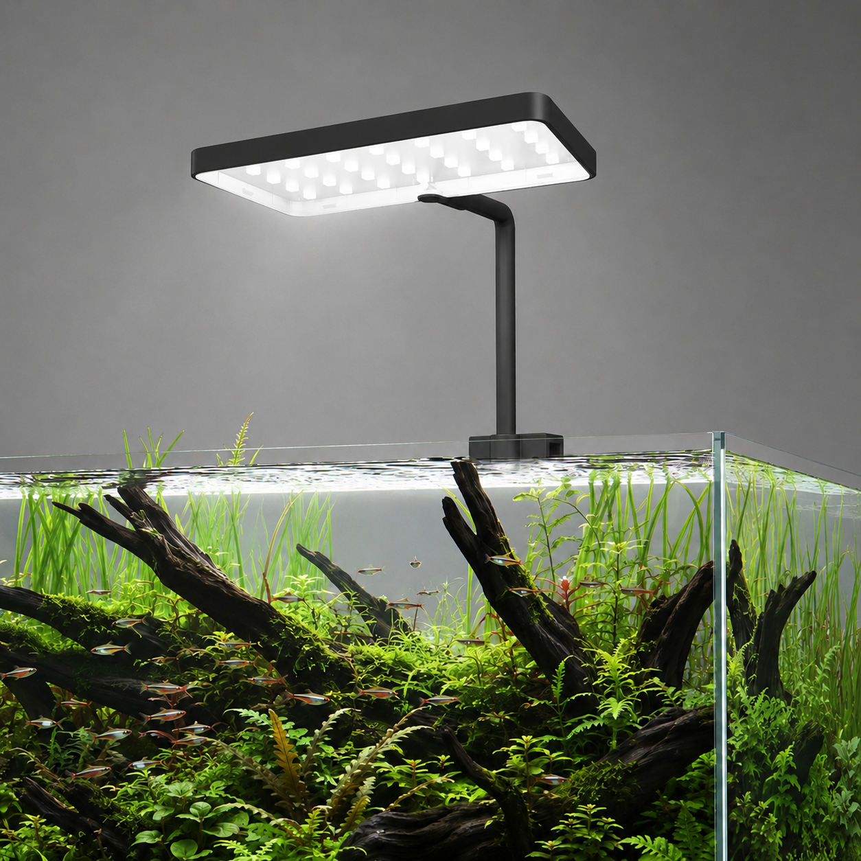 LANDEN HYDROLIT HL13S clip-on light angled view