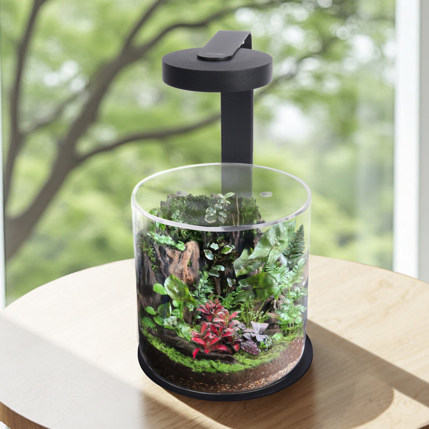 LANDEN TerraNano Light — Full-Spectrum Magnetic LED for Terrariums, Plants & Ambient Lighting