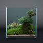 10% Off — Landen 30C 6.6 Gallon Rimless Low Iron Aquarium Tank, 11.8" L × 11.8" W × 11.8" H (30cm x 30cm x 30cm)