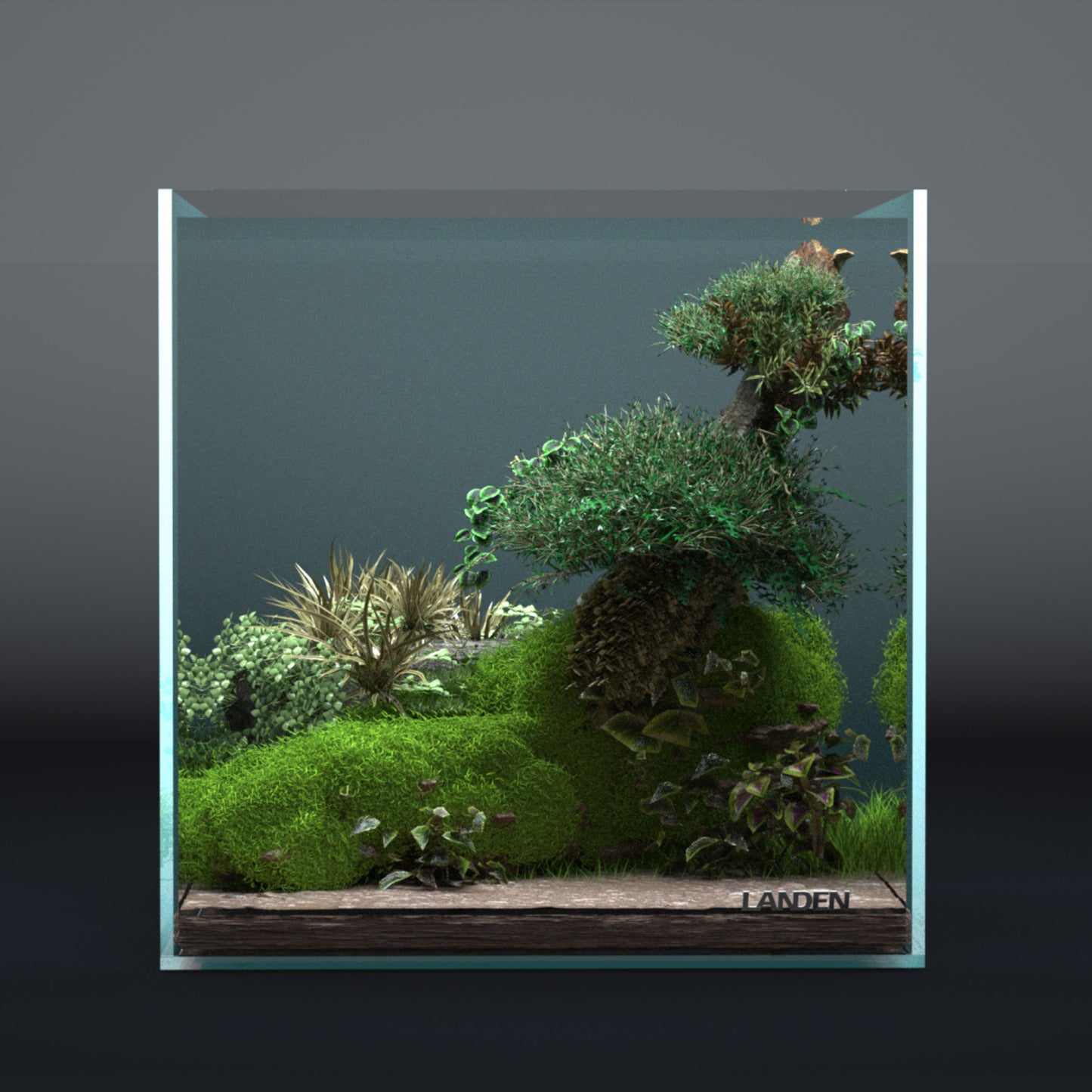 10% Off — Landen 30C 6.6 Gallon Rimless Low Iron Aquarium Tank, 11.8" L × 11.8" W × 11.8" H (30cm x 30cm x 30cm)