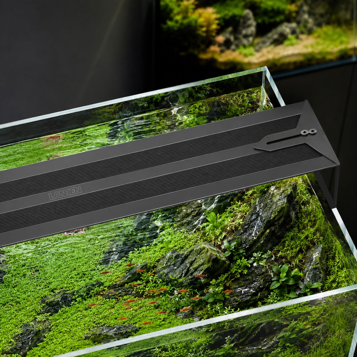 LANDEN AB45 aquarium light on a rimless tank