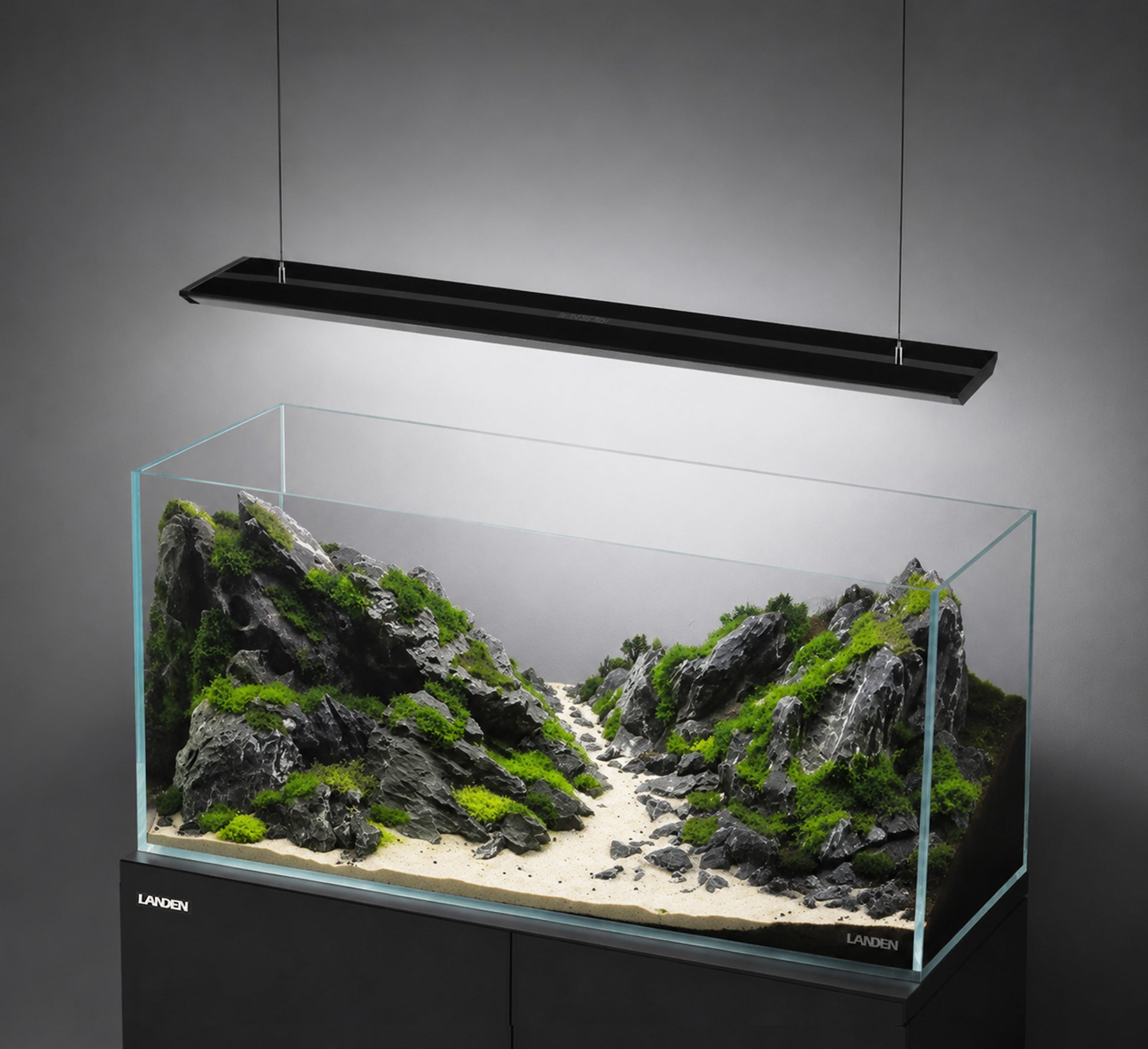 LANDEN AB90H hanging light in an aquascape setting
