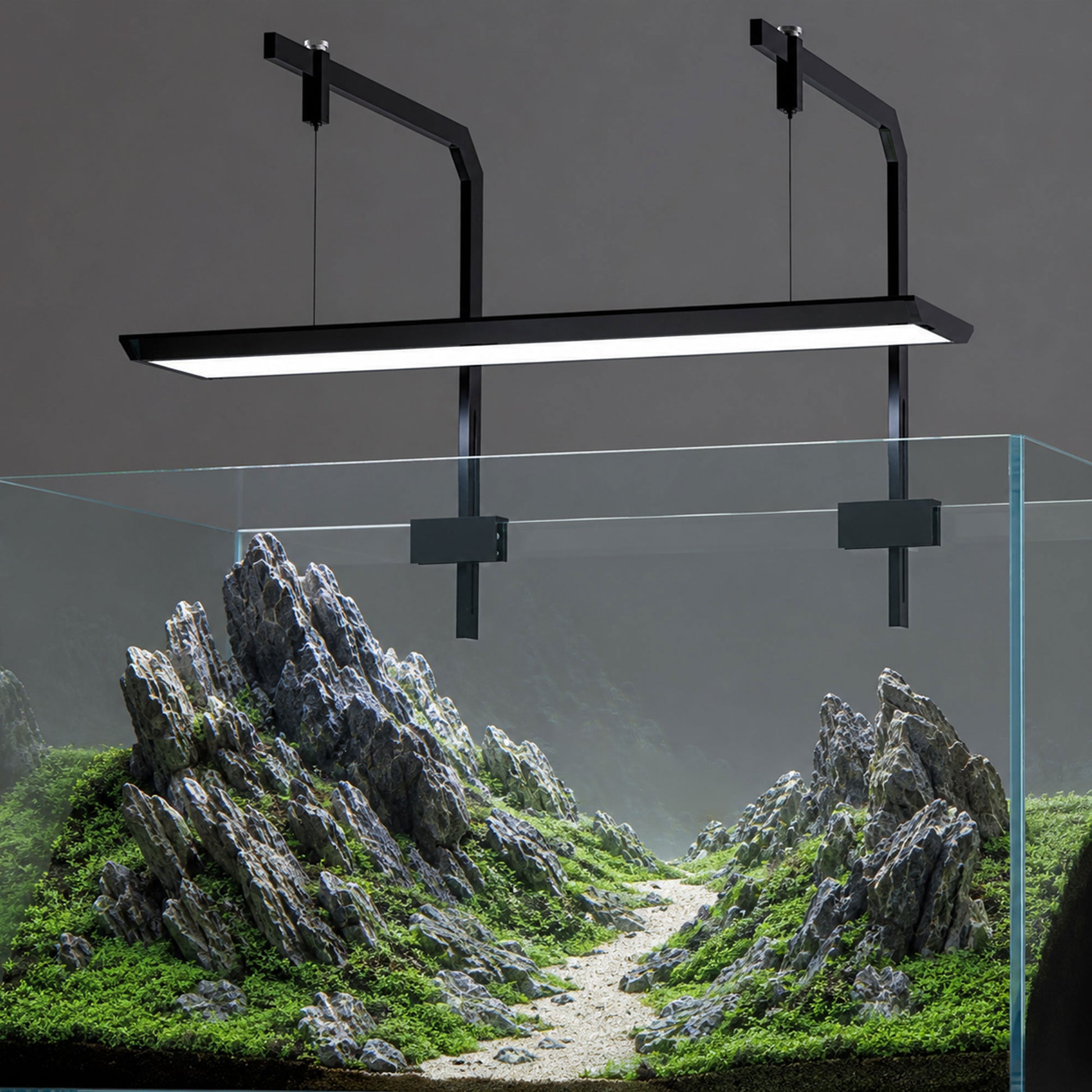 LANDEN AB60H suspended above an open-top rimless aquarium