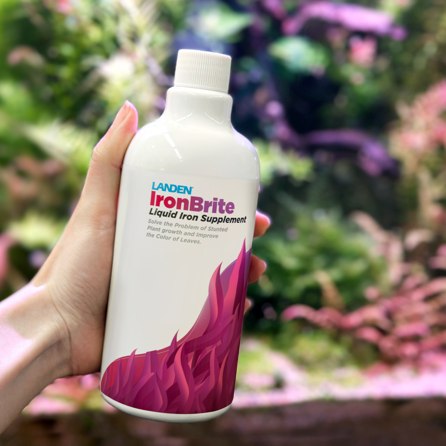 LANDEN IronBrite Liquid Iron Supplement Solves The Problem of Stunted Plant Growth and Improves The Color of Leaves