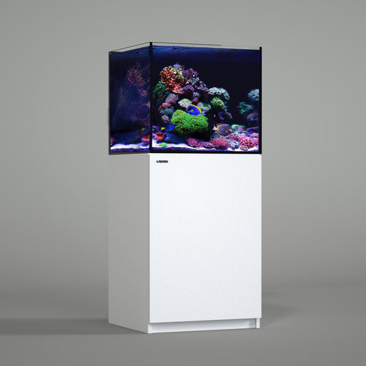 LANDEN RS 60 ReefStar Saltwater Aquarium Reef-Ready Sump Aquarium-50 Gal Display + 20 Gal Sump | 23.6″×21.7″×19.7″ Tank + Cabinet w/Built-in Filtration for Coral & Nano Fish
