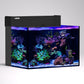 LANDEN EzCube 60P Premium Rimless AIO Marine Aquarium Kit with Rear Filtration, Protein Skimmer, and Roller Filter, 24 Gallon Saltwater Reef Tank, W23.62×D17.7×H15.7 in (60×45×40cm)