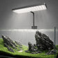 LANDEN HL20T clip-on light on a rimless aquarium