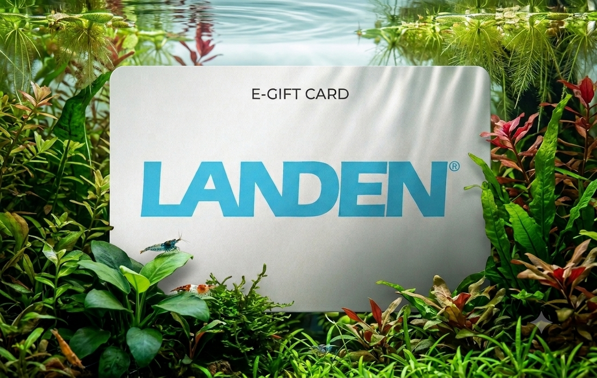 LANDEN Aqua Gift Card