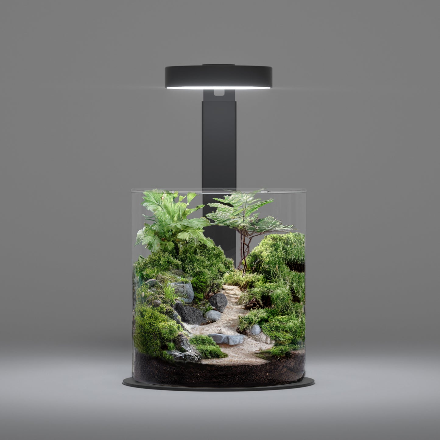 LANDEN TerraNano Light — Full-Spectrum Magnetic LED for Terrariums, Plants & Ambient Lighting