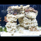 LANDEN EzCube EC 45 Rimless Aquarium Tank, 14.5 Gallon, 17.7x17.7x15.7 inches, Marine Fish Tank with Rear Filter