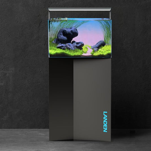 LANDEN Metal Stand 60 with Cabinet for 24 x 12 inches Fish Tank and Accessories Storage, 20 Gallon Aquarium Stand, Modern Minimalist Style W23.6xD11.8xH31.5(60x30x80cm)