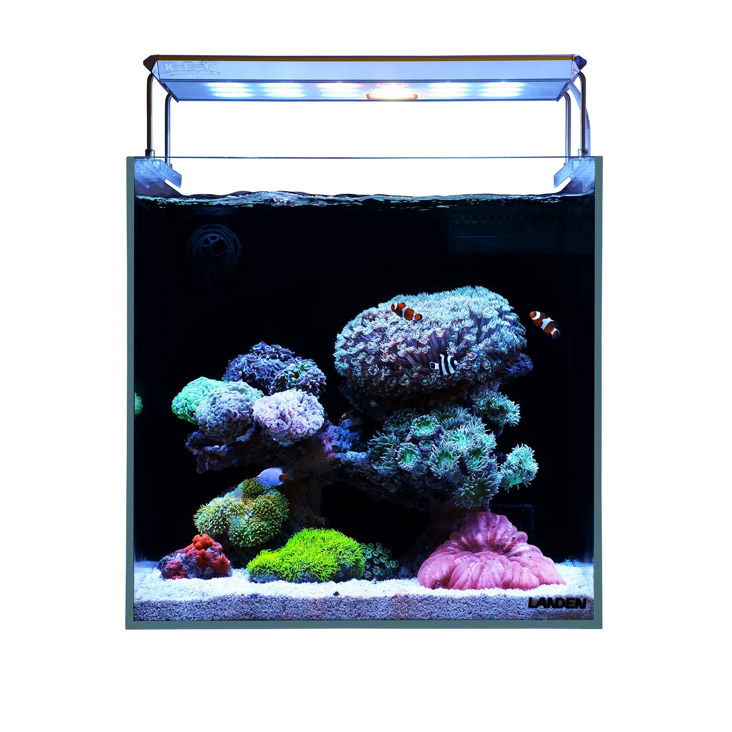 Landen 35C 7.2 Gallon Ultra Clear All Glass Rimless Low Iron Aquarium Tank with Rear Filtration Chamber(Return Pump Included)for Salt and Fresh Water.13.8''Wx13.8''Dx13.8''H in(35x35x35cm)