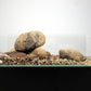 LANDEN Balagen Aquarium Sand River Rocks Stones,4L,4-15mm