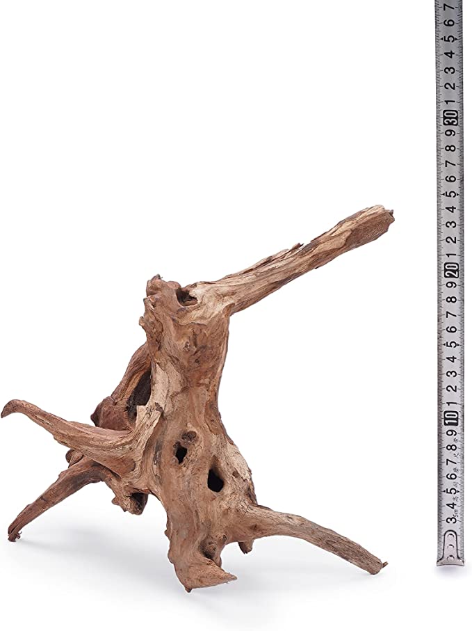 LANDEN Panna Driftwood, Natural Wood for Aquarium, Terrariums, Vivariums, Reptile and Amphibian Enclosures Aquascaping Decor - L (8-12 inches, 20-30cm), 6pcs